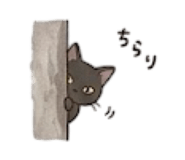 844955542