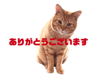 844955673