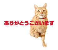 844955674