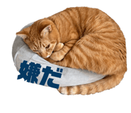 844955689