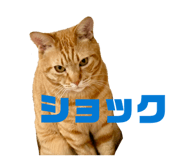 844955700