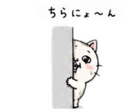 844956137