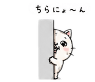 844956137