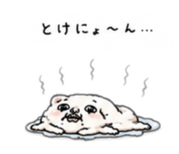 844956144