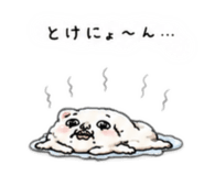 844956144