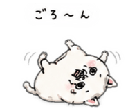 844956146