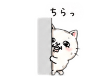 844956161