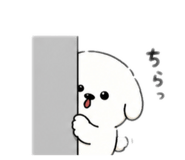 844956613