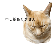 844959110