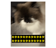844961398