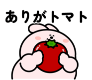 844961777