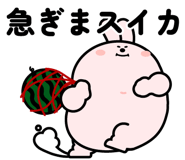 844961805