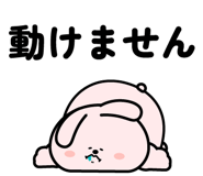 844961808