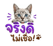 844961849