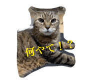 844963569