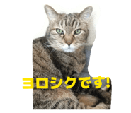 844963574