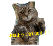 844963575
