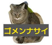 844963581
