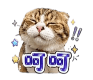 844963699