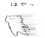 844963746
