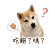 844963893