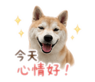 844963896