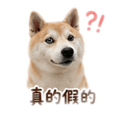 844963898