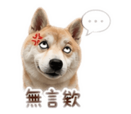 844963904