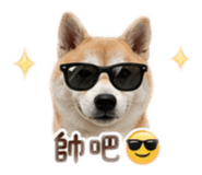 844963908