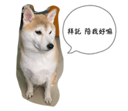 844963919