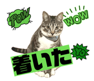 844965212