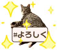844965213