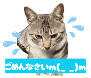 844965215