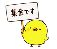 844965505