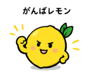 844965523