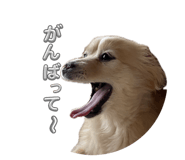 844965617