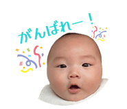 844966205