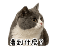 844966244