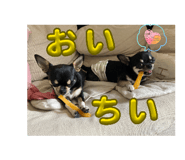 844966315