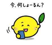 844966521