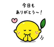 844966558