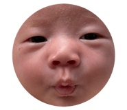 844966592