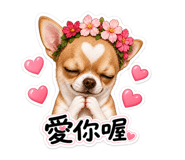 844966816