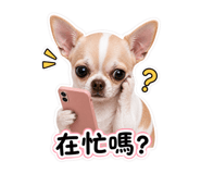 844966823