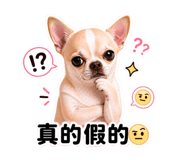 844966837