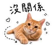 844967966