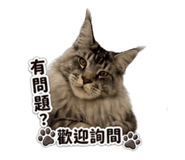 844968055