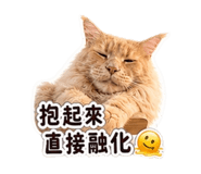 844968458