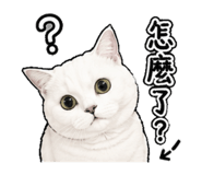 844968575