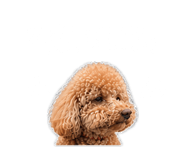 844969198